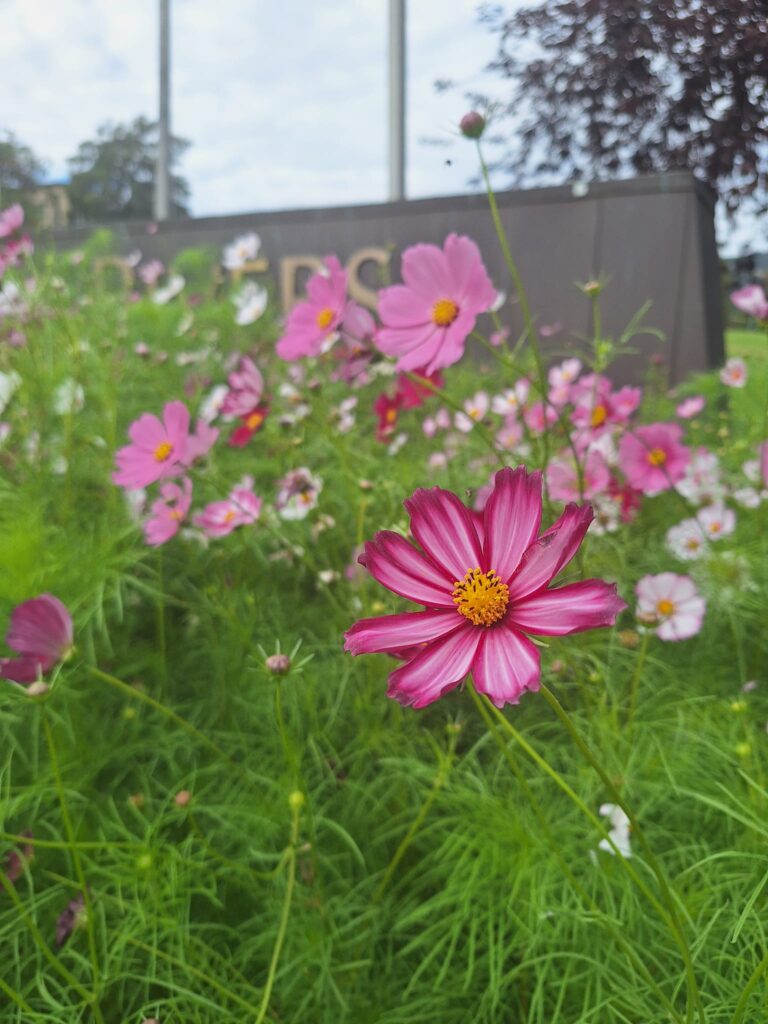 My Teaching Philosophy