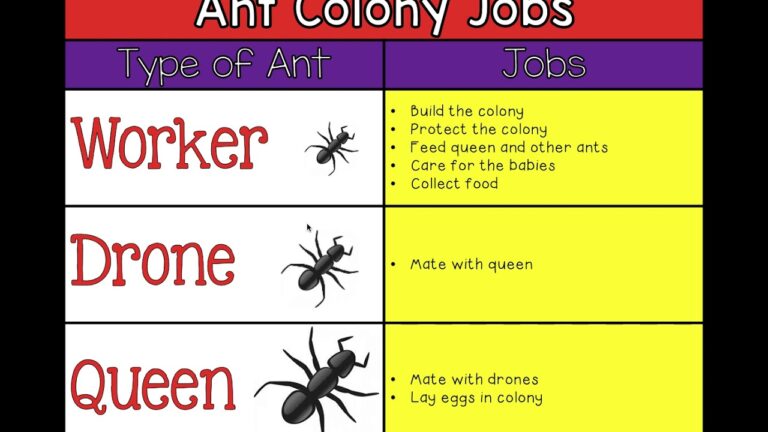 Evaluate Section